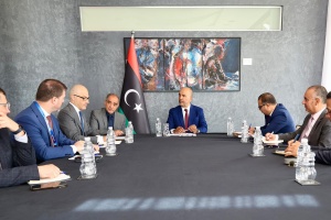 EU says Libya shouldn't bear burdens of immigrants alone 