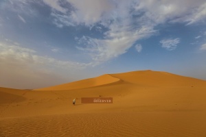 The Libyan Desert 