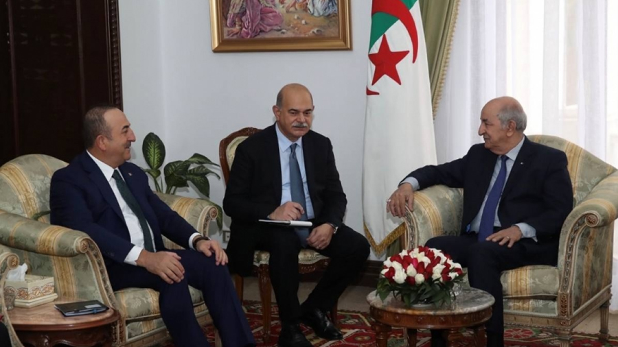 Turkey and Algeria reiterate need to ceasefire in Libya | The Libya ...