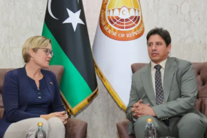HoR Foreign Committee's Head: Libya is facing immigration crises without viable support