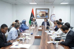 Libya's Presidential Council reviews development of the south with region's representatives 