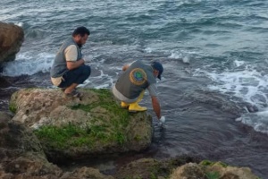 Bacterial contamination indicated in groundwater sources in Derna