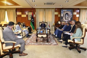 Libya, Ethiopia discuss cooperation in trade and investment