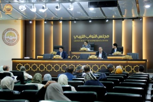 HoR adds new articles to existing law against interaction with Israelis