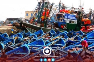 Libyan government reviews plan to develop fishing ports