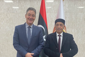 HoR Speaker reviews with German ambassador holding Libyan meeting under UN auspices