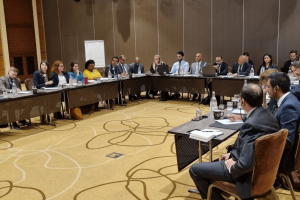 UNSMIL reviews support for Libyan institutions in DDR processes