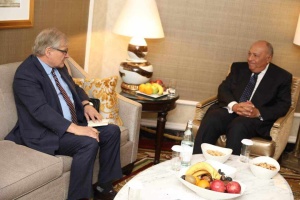 Washington, Cairo review solutions to Libyan crisis 