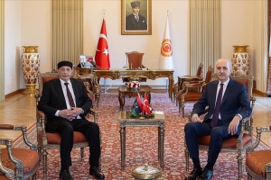 Kurtulmuş: Turkey's priorities in Libya are stability and prosperity 