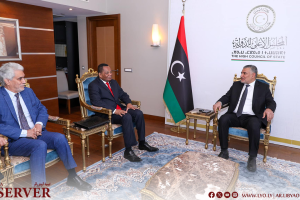 Takala reviews with African delegation preparation for Sirte