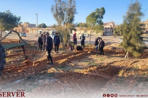 Reforesting Zaouia El Baqoul: A Testament to Libya's Resilience and Healing