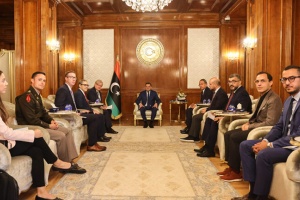 Libyan PM, US envoy Norland review holding elections