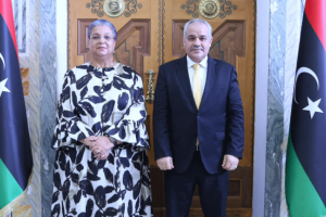 UN Envoy praises CBL for unified budget law, urges political neutrality