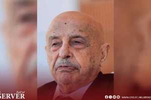 HoR Speaker says delay in forming new government will lead to chaos