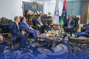 Oil Minister reviews with Maltese ambassador cooperation in energy sector