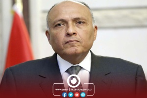 Egyptian Foreign Minister stresses need to end foreign interference in Libya