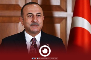 Cavusoglu: Turkey’s agreement with Libya isn't against Egypt's interests