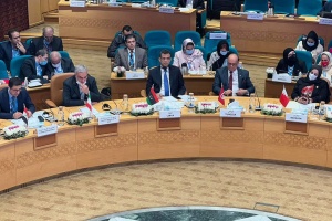 Libyan Health Minister-designate takes part in WHO meetings in Cairo