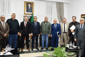 Algeria proposes exporting electricity to Libya