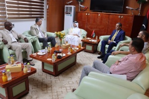 Minister of Transport reviews with Qatari Ambassador cooperation plan on civil aviation