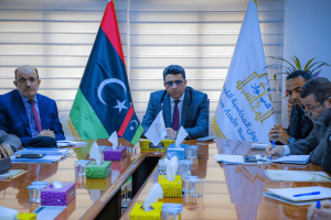 Strategic 2023-2035 plan to develop Libyan oil and electricity sectors