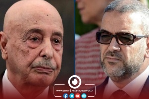 Saleh, Al-Mishri to meet in Geneva end of Jun, UN says