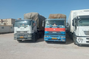 Misrata Free Zone announces first transshipment operation