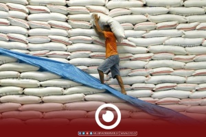 Ukrainian crisis pushes up flour prices in Libya