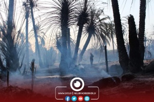 Fire consumes 70 percent of trees in 3 palm farms in Kufra