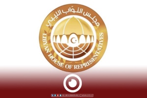 HoR approves with majority Constitutional Court's bill