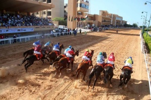 Jockeys compete for Libya peace cup 