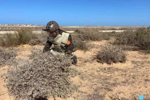 5 + 5 Military Committee clears tons of mines from coastal road