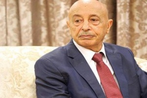 Parliament Speaker: Egypt to help in "liberating" Derna, Turkey supports terrorism in Libya