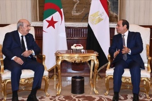 Egypt, Algeria reiterate need to hold elections as per Libyans’ aspirations