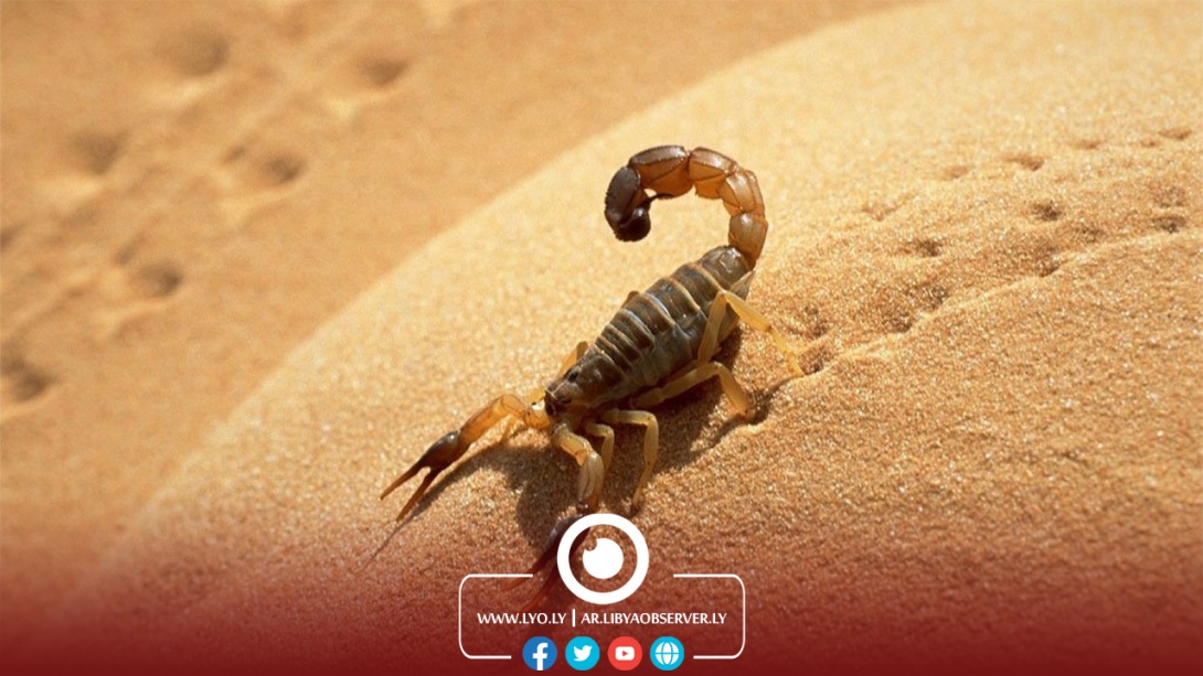 scorpion