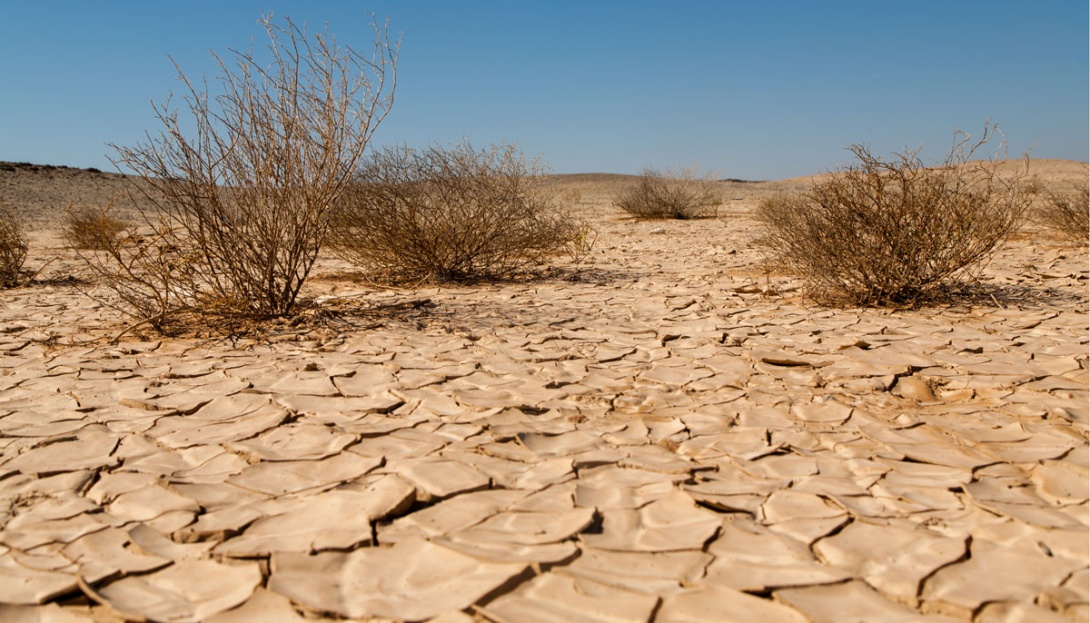 Combating desertification