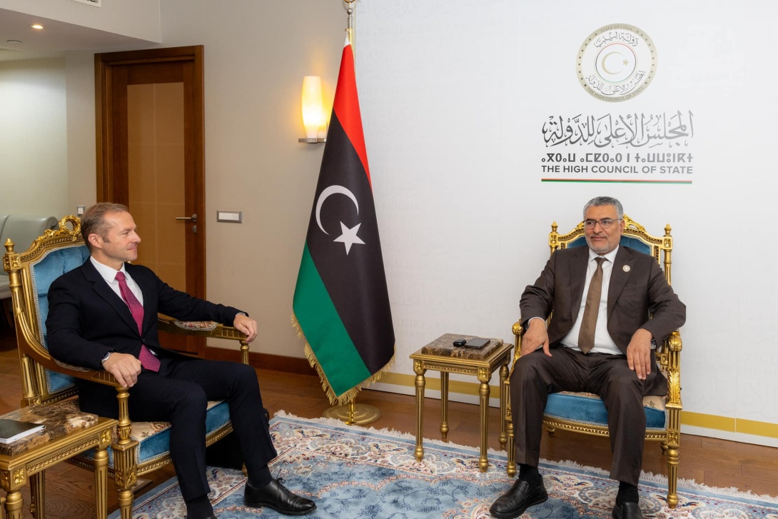 HCS seeks French aid for Libyan political solution | The Libya Observer