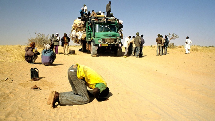 illegal migrants 